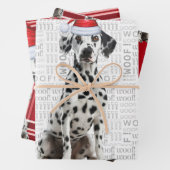 Dalmatian Dog Bold Red Holiday Plaid Christmas Inpakpapier Vel (In situ)