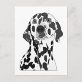 Dalmatian Dog Briefkaart (Voorkant)