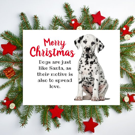Dalmatian Dog Holiday Card Feestdagenkaart
