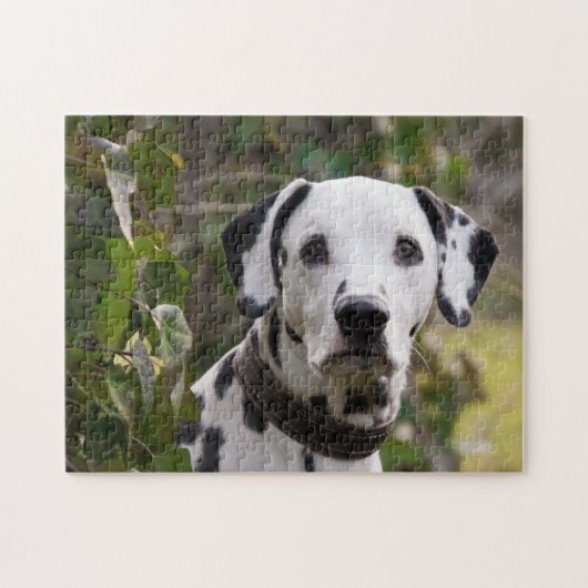 Dalmatian Dog Legpuzzel (Horizontaal)