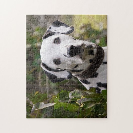 Dalmatian Dog Legpuzzel (Verticaal)