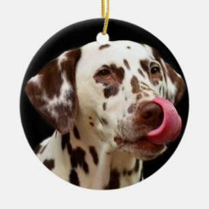 Dalmatian Dog Licking Keramisch Ornament