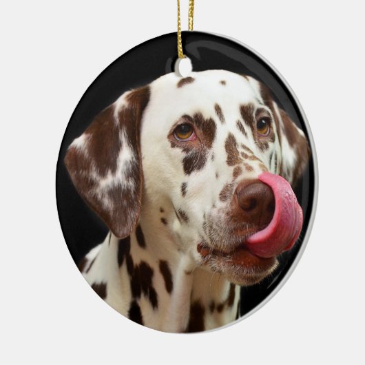 Dalmatian Dog Licking Keramisch Ornament (Links)