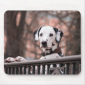 Dalmatian Dog Muismat (Voorkant)