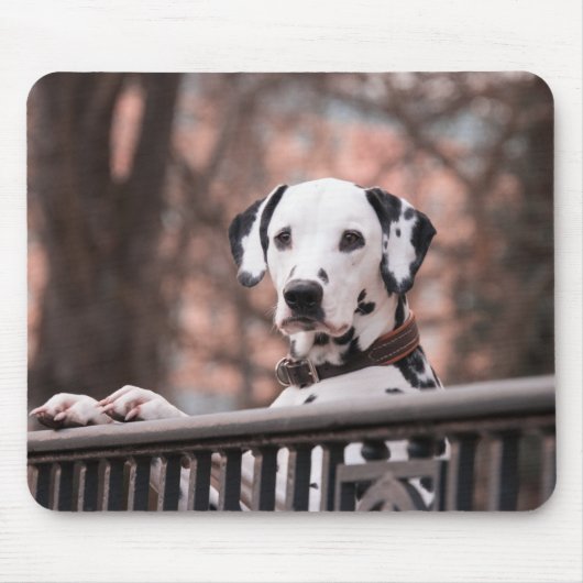 Dalmatian Dog Muismat (Voorkant)