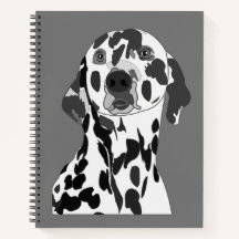 Dalmatian Dog Pet