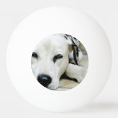 Dalmatian Dog Pingpongbal (Achterkant)