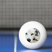 Dalmatian Dog Pingpongbal (Net)