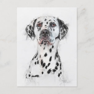 Dalmatian Dog Portrait Briefkaart