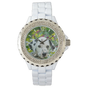 Dalmatian Dog Puppy bord Horloge