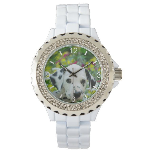 Dalmatian Dog Puppy bord Horloge (Voorkant)