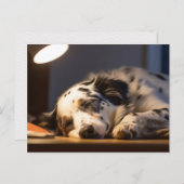 DALMATIAN DOG SLEEPING POSTCROSSING BRIEFKAART (Voorkant / Achterkant)