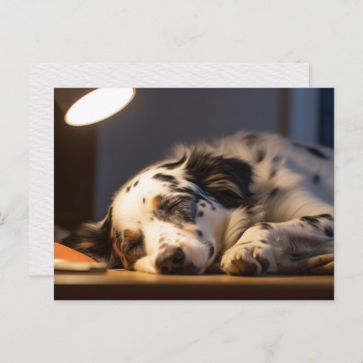 DALMATIAN DOG SLEEPING POSTCROSSING BRIEFKAART (Voorkant / Achterkant)