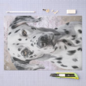 Dalmatian Dog Tissuepapier (Craft)