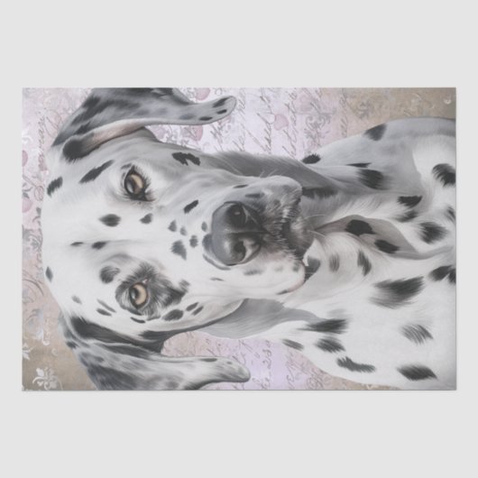 Dalmatian Dog Tissuepapier (Voorkant)
