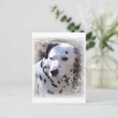 Dalmatian Fire Dog Briefkaart (Staand voorkant)