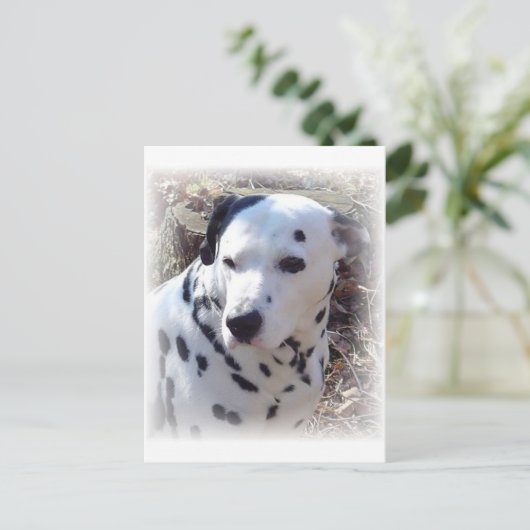 Dalmatian Fire Dog Briefkaart (Staand voorkant)