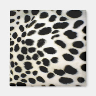 Dalmatian Fur past textiel zwart-wit aan Magneet