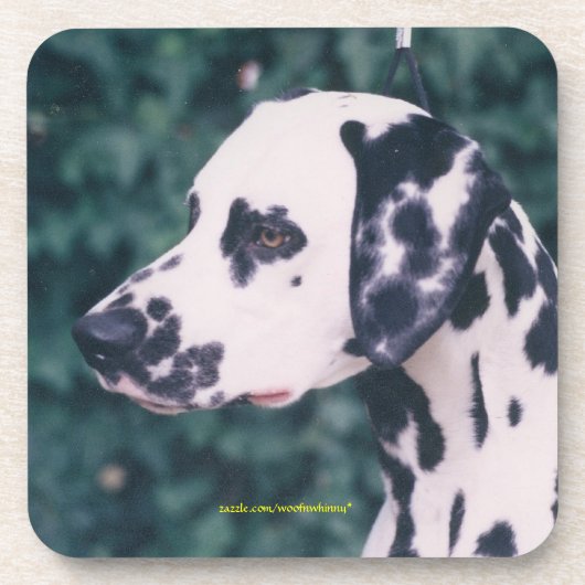 Dalmatian Headstudy Drankjes Onderzetter (Voorkant)