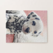 Dalmatian Heart Nose Legpuzzel (Horizontaal)