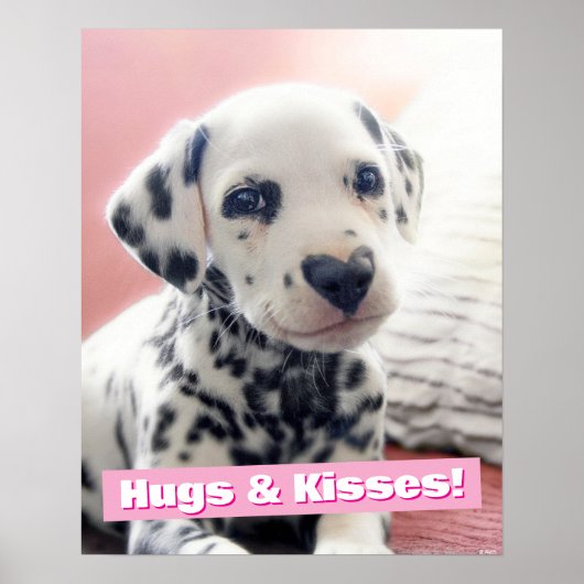 Dalmatian Heart Nose Poster (Voorkant)