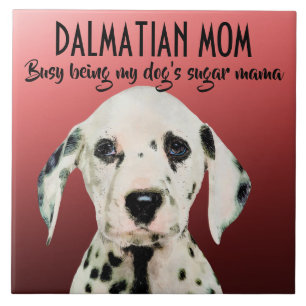 Dalmatian Mam Ceramic Tile Tegeltje