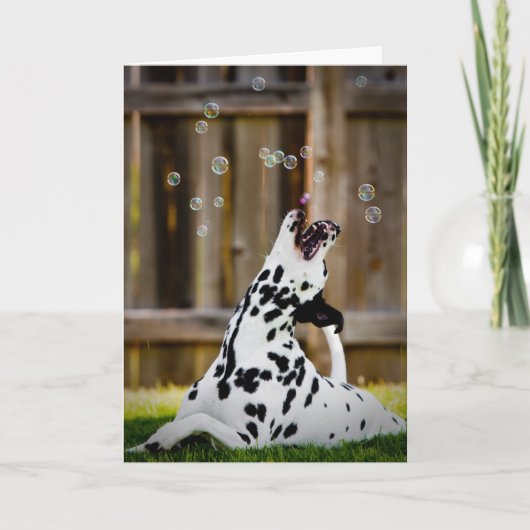 Dalmatian met bellen kaart (Voorkant)