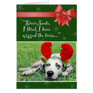 Dalmatian Miss Train Green