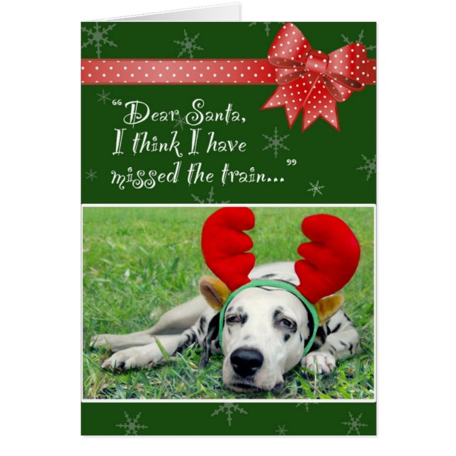 Dalmatian Miss Train Green (Voorkant)