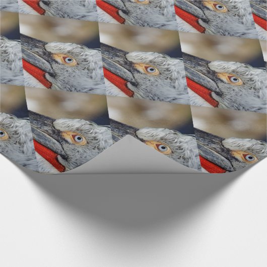 Dalmatian Pelican Cadeaupapier (Hoek)