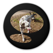 Dalmatian Popout Art, Keramische Knop (Voorkant)