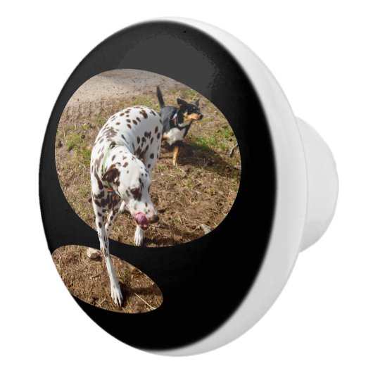 Dalmatian Popout Art, Keramische Knop (Rechts)