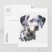 Dalmatian Puppy Briefkaart (Voorkant / Achterkant)