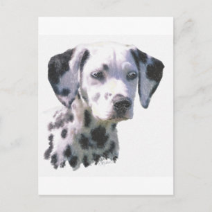 Dalmatian Puppy Briefkaart