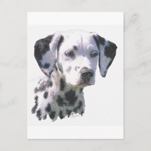 Dalmatian Puppy Briefkaart (Voorkant)