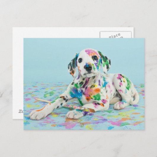 Dalmatian Puppy Briefkaart (Voorkant / Achterkant)