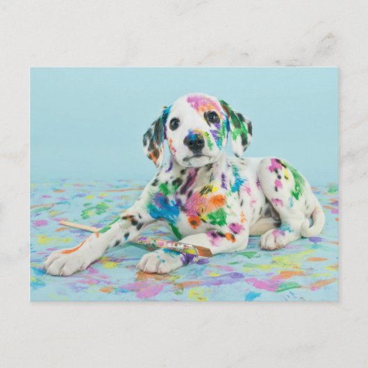 Dalmatian Puppy Briefkaart (Voorkant)
