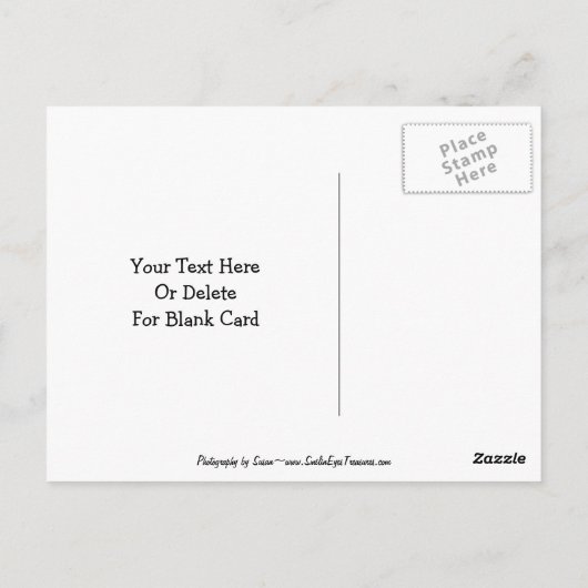 Dalmatian Puppy Butterflies Briefkaart (Achterkant)