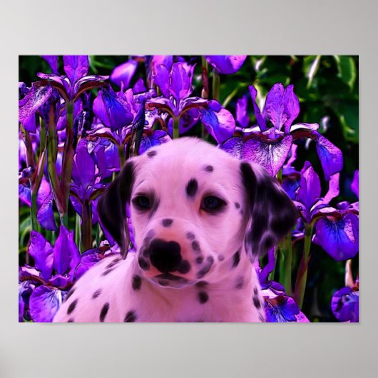 Dalmatian Puppy Iris Flowers Dog Art Poster (Voorkant)