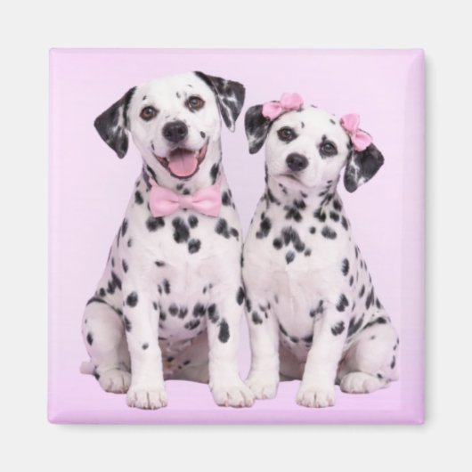 Dalmatian Puppy Love – Valentine Dog Couple Magnet (Voorkant)