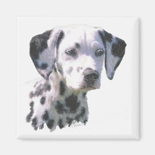 Dalmatian Puppy Magneet (Voorkant)
