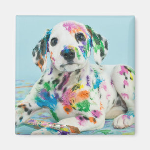 Dalmatian Puppy Magneet