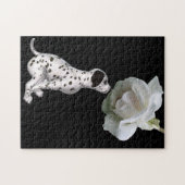 Dalmatian Puppy Smelling White Rose  Legpuzzel (Horizontaal)