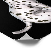 Dalmatian Puppy Smelling White Rose Poster (Hoek)