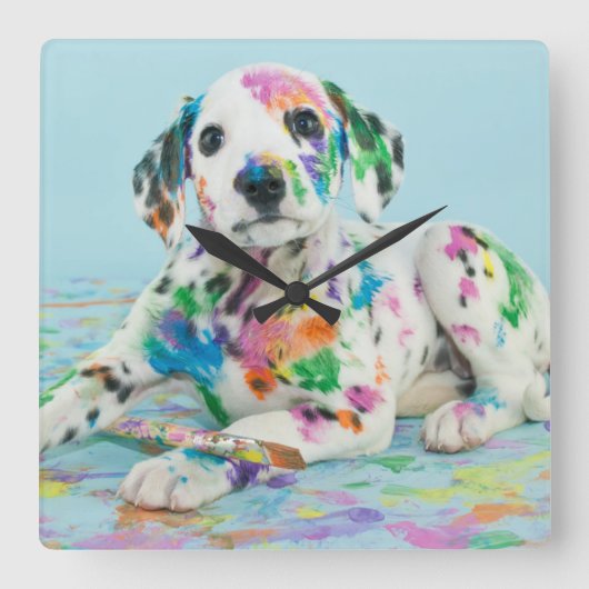Dalmatian Puppy Vierkante Klok (Voorkant)