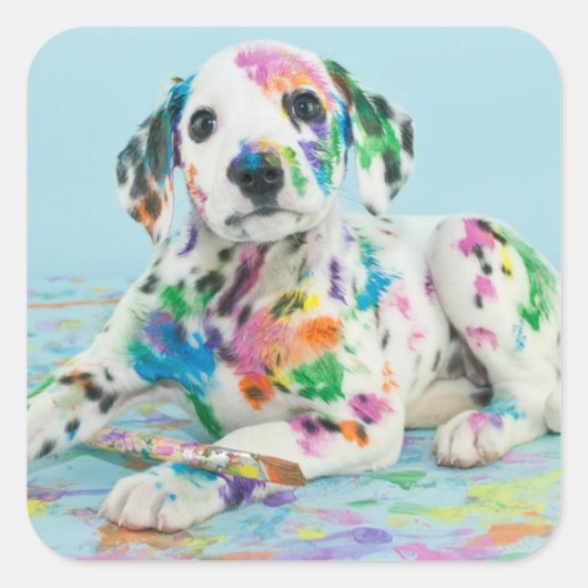 Dalmatian Puppy Vierkante Sticker (Voorkant)