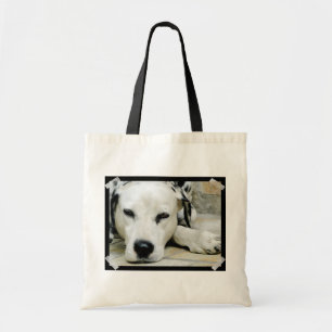 Dalmatian Resting Small Canvas tas