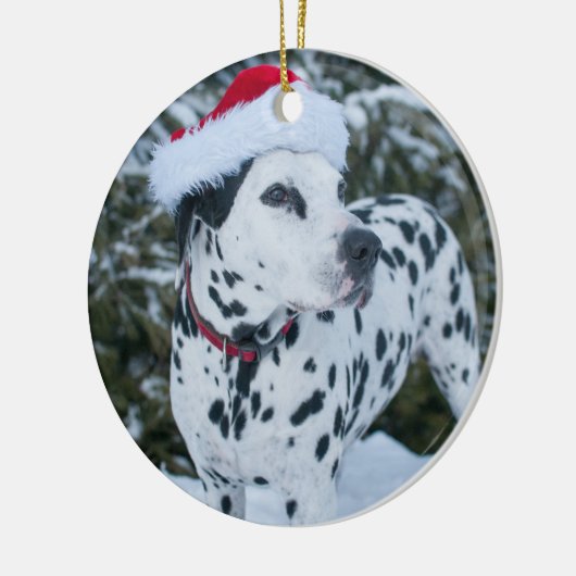 Dalmatian Santa Ornament (Links)