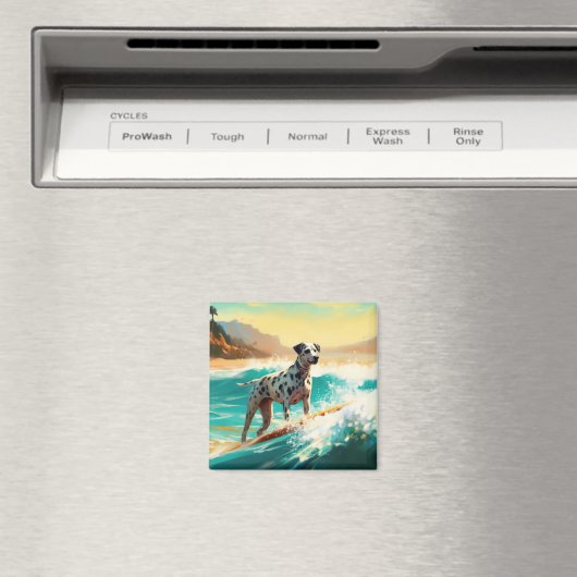 Dalmatie Strand Surfen Schilderij Magneet (Insitu (Vaatwasser))