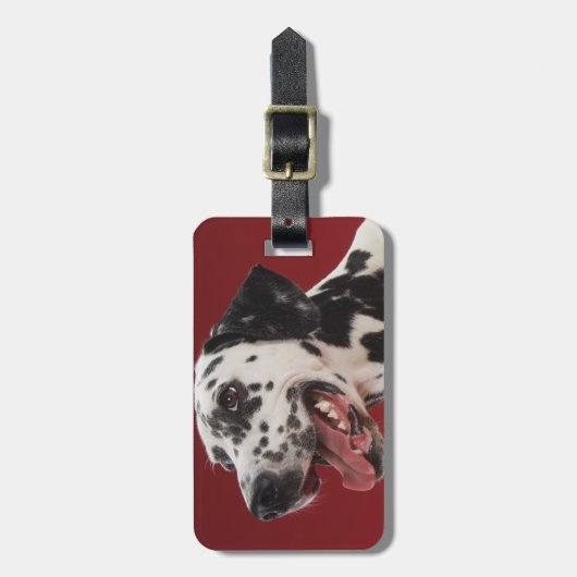 Dalmatiër Bagagelabel (Voorkant verticaal)